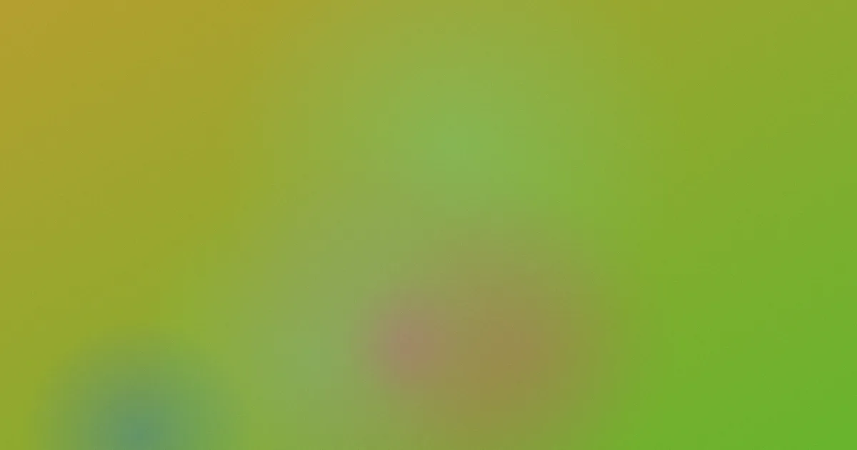 转运对比：一次海淘复盘
